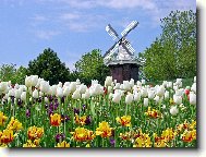 Puzzle on-line