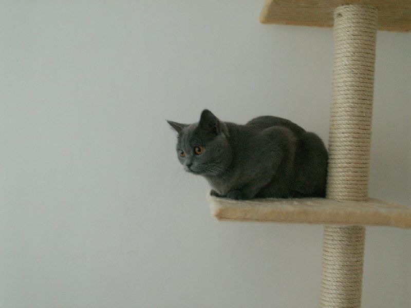 Foto: Kocicka