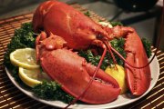 Recept online Humr na �afr�nu