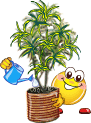 V�ce smajl�k� ke sta�en�
