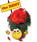 V�ce smajl�k� ke sta�en�