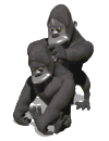 V�ce smajl�k� ke sta�en�