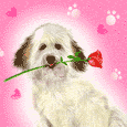 V�ce smajl�k� ke sta�en�