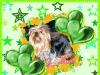 V�ce smajl�k� ke sta�en�