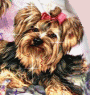 V�ce smajl�k� ke sta�en�