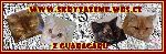 Chovatelska stanice ps�: Z GUARAGARU