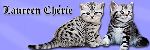 Chovatelska stanice ps�: LAUREEN CH�RIE, CZ