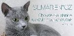Chovatelska stanice ps�: SILMARIEN*CZ