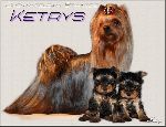 Chovatelska stanice ps�: KETRYS