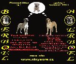 Chovatelska stanice ps�: NINYA �R� 