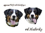 Chovatelska stanice ps�: OD HADOVKY
