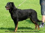 Chovatelska stanice ps�: MERIN BOHEMIA
