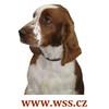 Chovatelska stanice ps�: IVAN�ICE