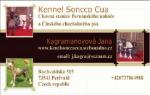 Chovatelska stanice ps�: SONCCO CUA