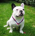 Chovatelska stanice ps�: Z JEM�INY