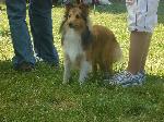 Chovatelska stanice ps�: FUN DOG