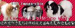 Chovatelska stanice ps�: OD MOJSK�HO LESA