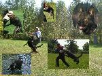 Chovatelska stanice ps�: DENBRIX