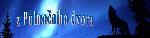 Chovatelska stanice ps�: Z P�LNO�N�HO DVORA