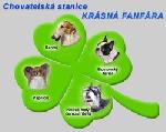Chovatelska stanice ps�: KR�SN� FANF�RA