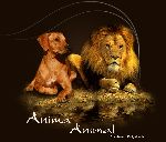 Chovatelska stanice ps�: ANIMA ANIMAL