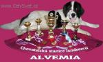 Chovatelska stanice ps�: ALVEMIA