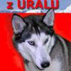Chovatelska stanice ps�: Z URALU