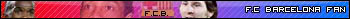 V�ce userbar� ke sta�en�