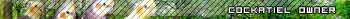 V�ce userbar� ke sta�en�