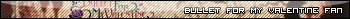 V�ce userbar� ke sta�en�